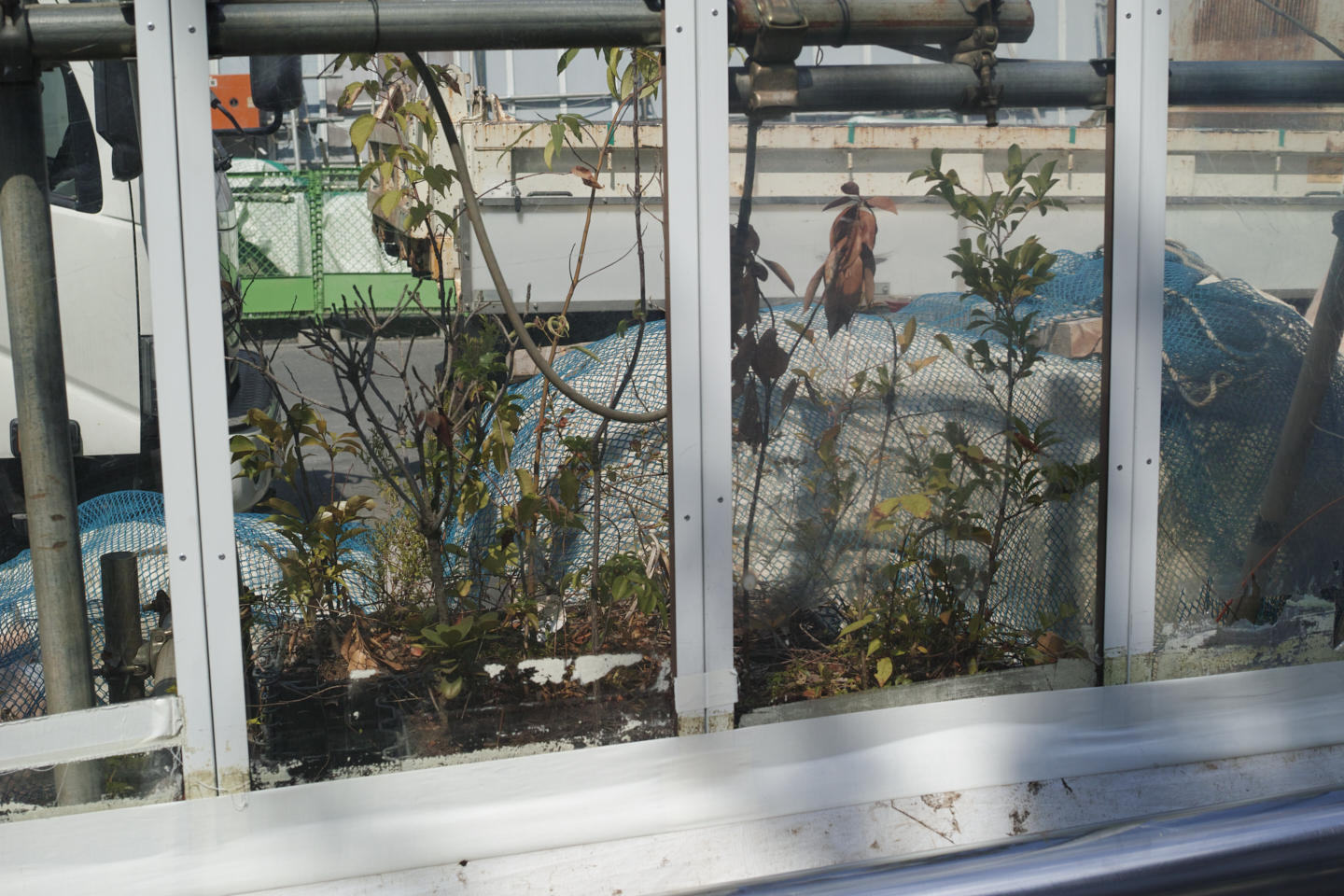 Asakusa, Shinanomachi_Img