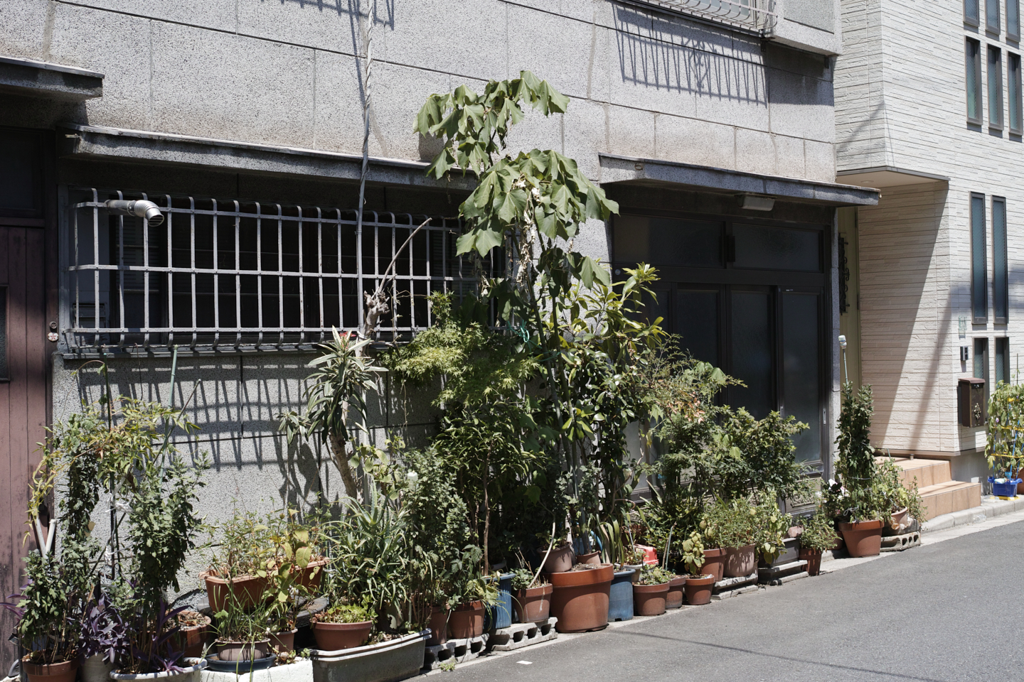 Asakusa, Shinanomachi_Img