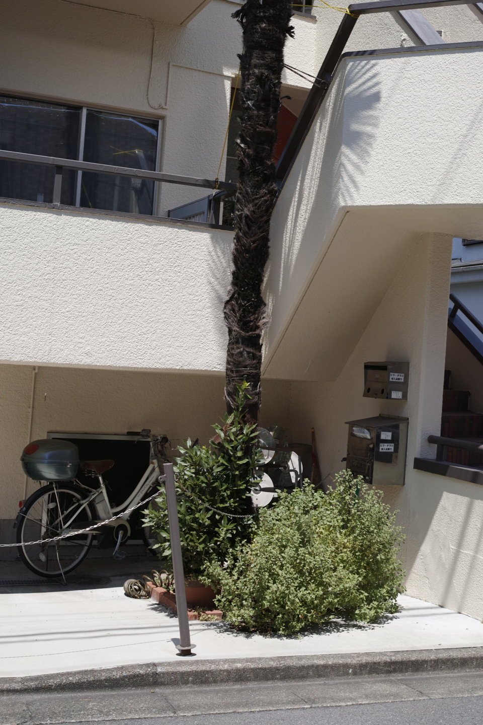 Nakano, Yoyogi, Shibuya_Img