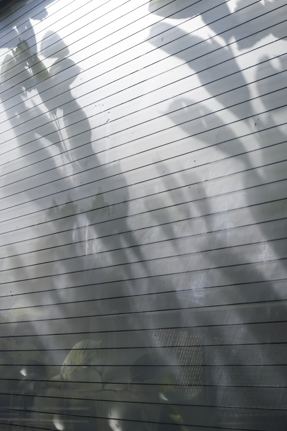 Nakano, Yoyogi, Shibuya_Img