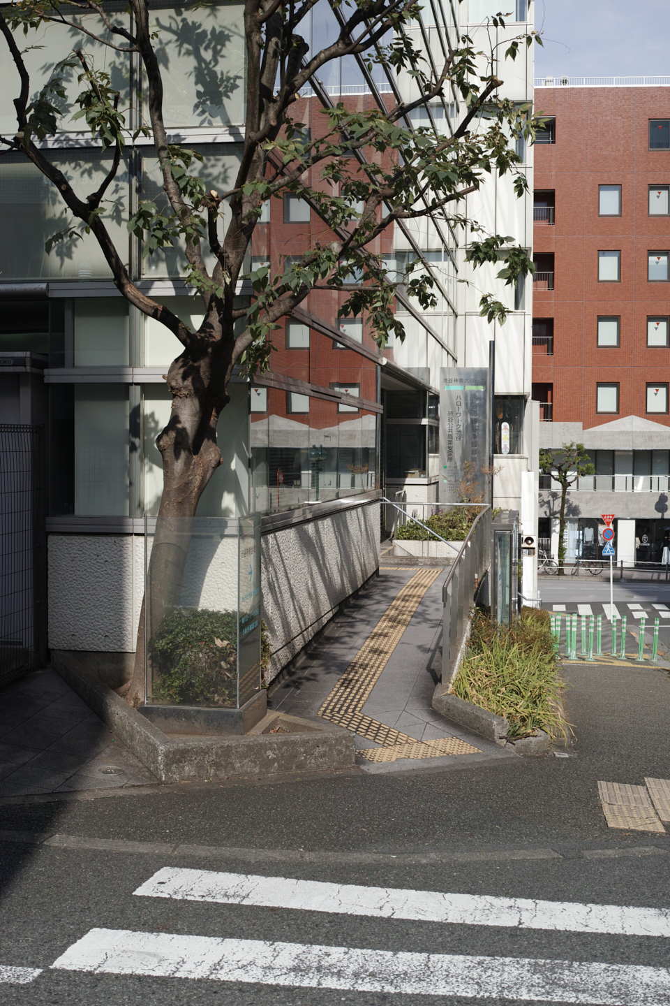 Nakano, Yoyogi, Shibuya_Img