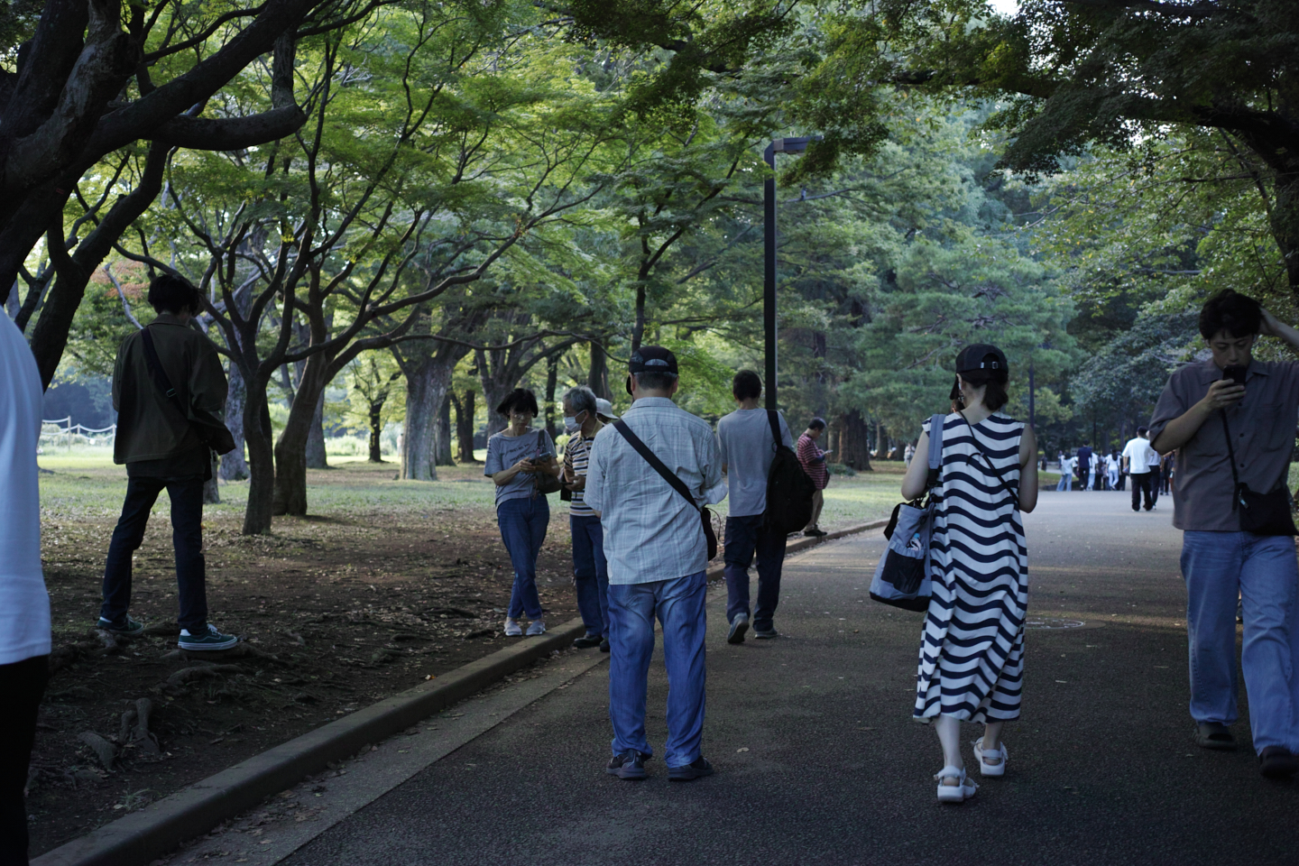 Nakano, Yoyogi, Shibuya_Img