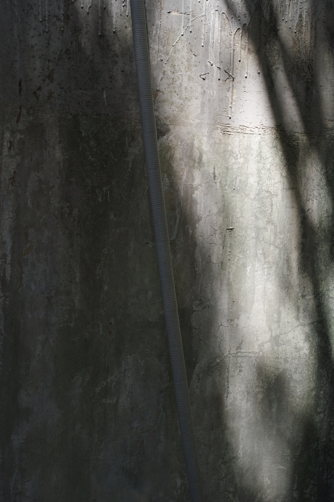 Ebisu, Shibuya, Shinjuku_Img