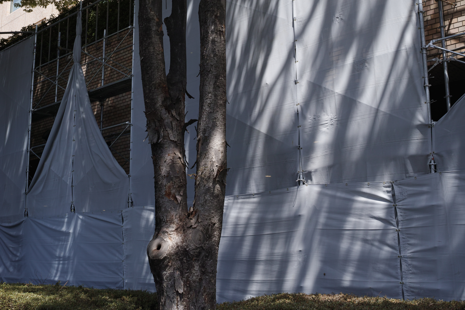 Ebisu, Shibuya, Shinjuku_Img