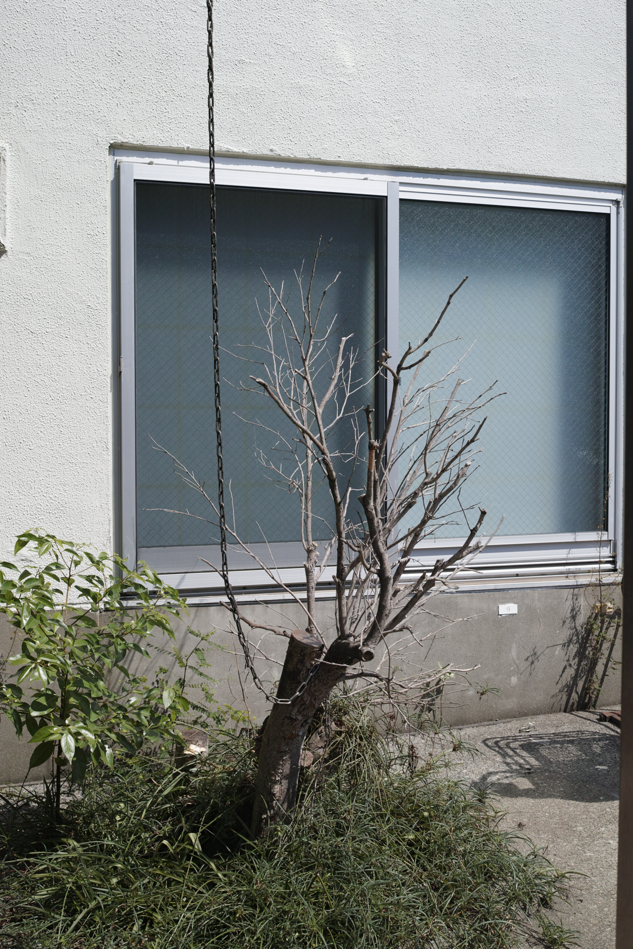 Ebisu, Shibuya, Shinjuku_Img