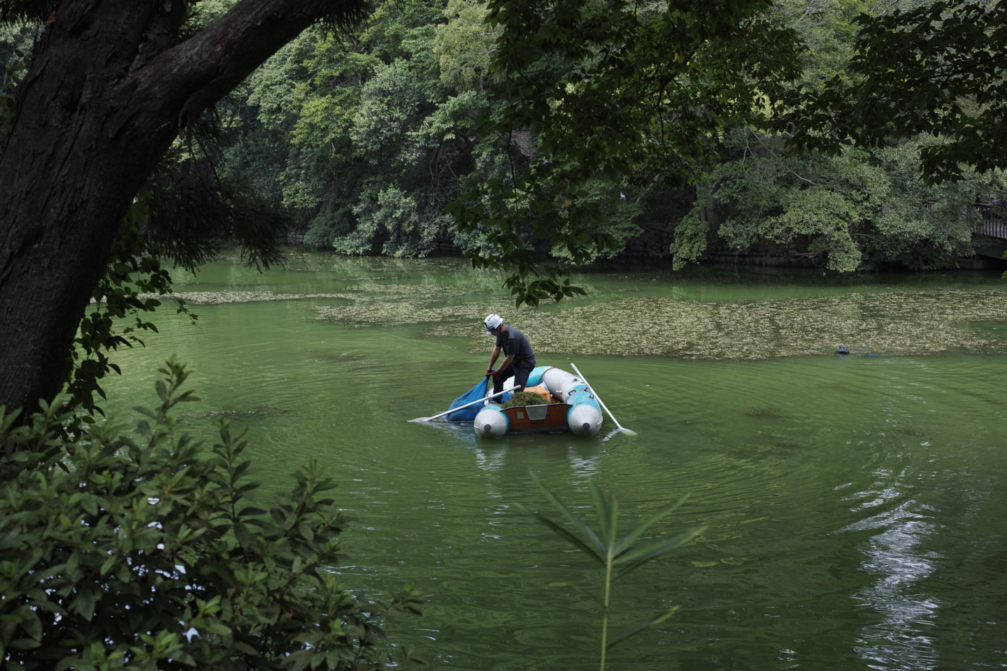 Eifukucho, Nishi-Shinjuku, Ueno, Nippori_Img