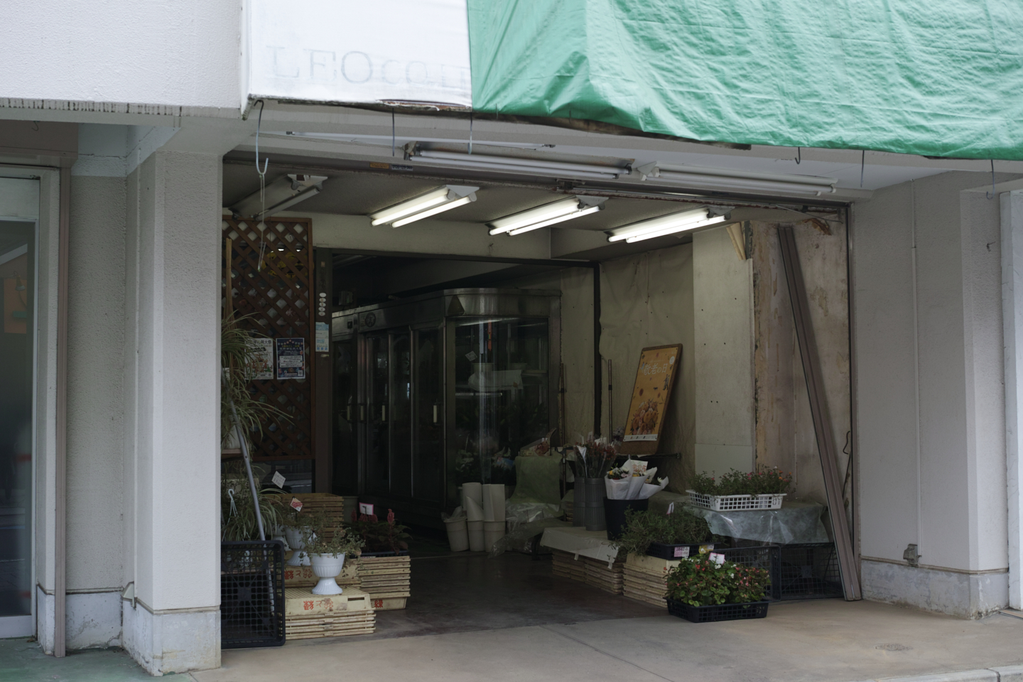 Eifukucho, Nishi-Shinjuku, Ueno, Nippori_Img