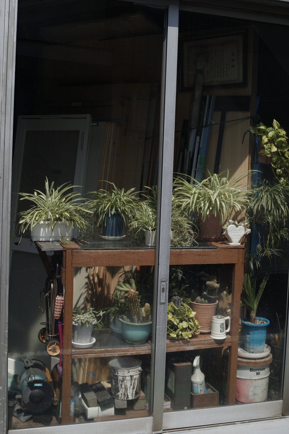 Eifukucho, Nishi-Shinjuku, Ueno, Nippori_Img