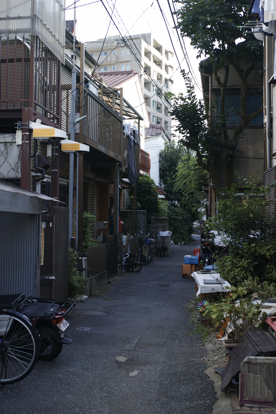 Eifukucho, Nishi-Shinjuku, Ueno, Nippori_Img