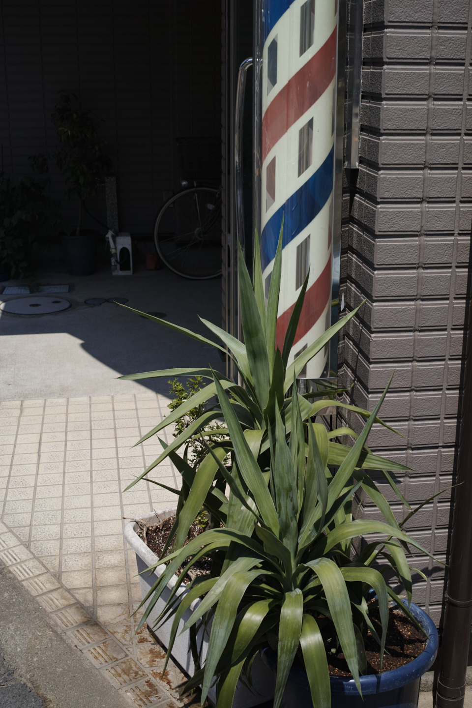 Noborito,  Soshigaya, Yoyogi-Uehara etc_Img