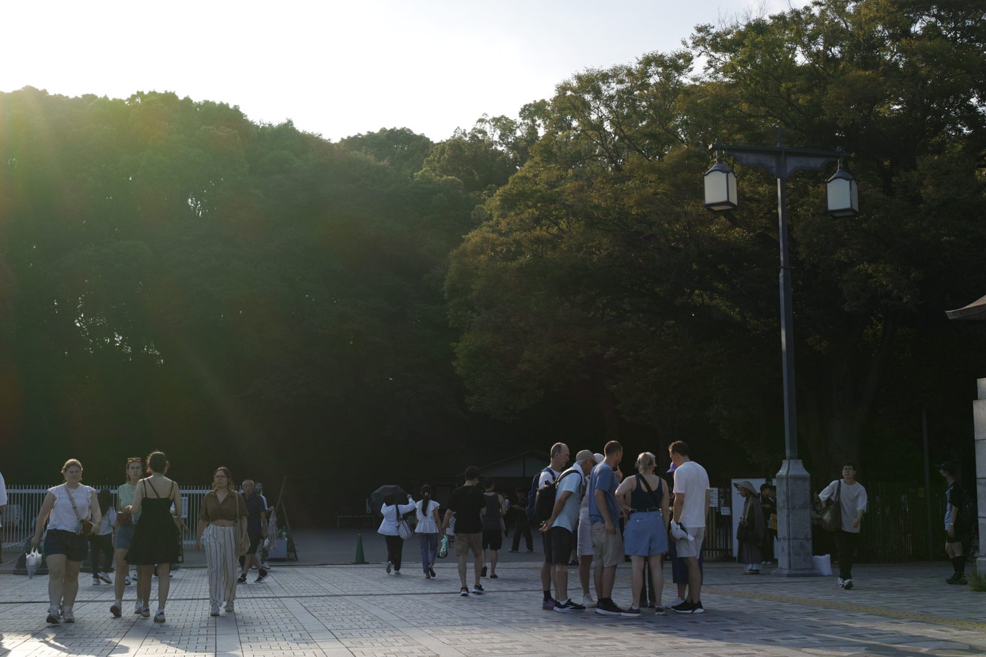 Noborito,  Soshigaya, Yoyogi-Uehara etc_Img