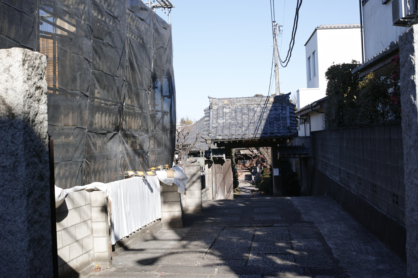 Ueno, Nippori, Shinjuku_Img