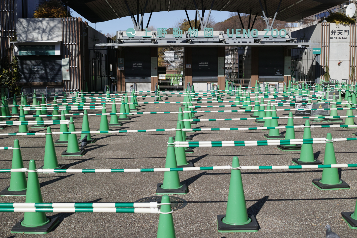 Ueno, Nippori, Shinjuku_Img