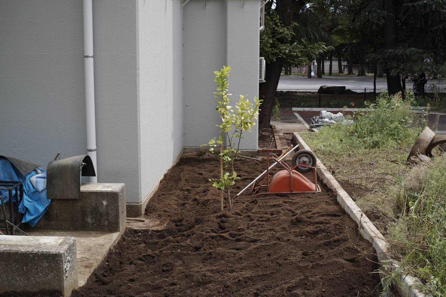 Kichijoji, Merguro, Shinbashi, Roppongi etc_Img