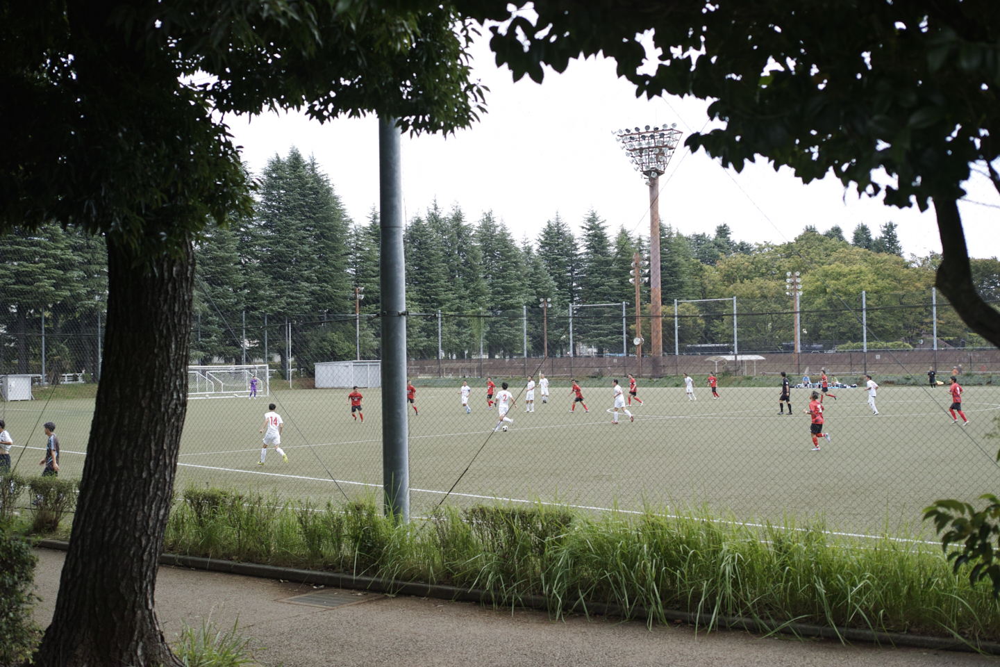 Kichijoji, Merguro, Shinbashi, Roppongi etc_Img