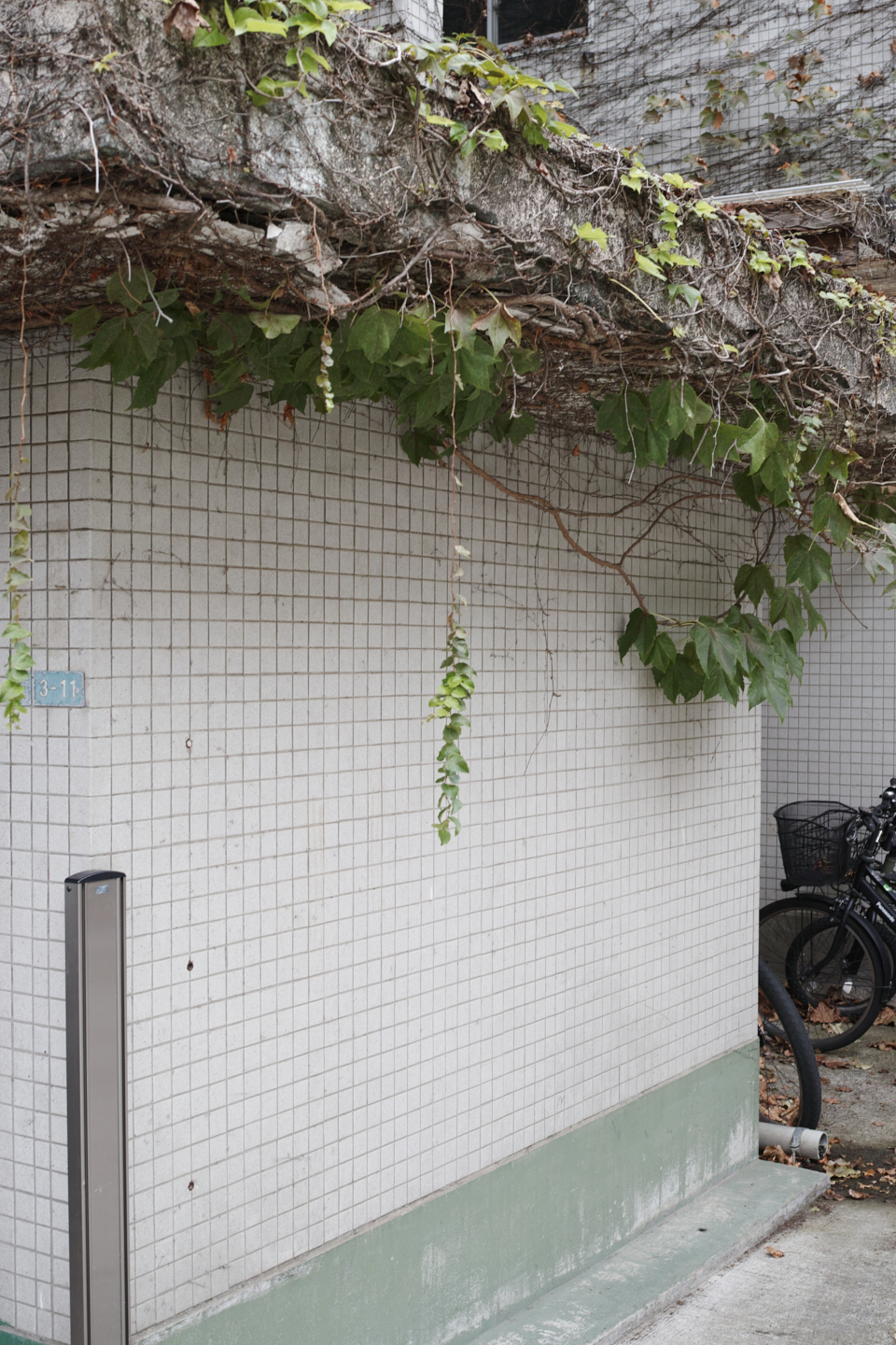 Kichijoji, Merguro, Shinbashi, Roppongi etc_Img