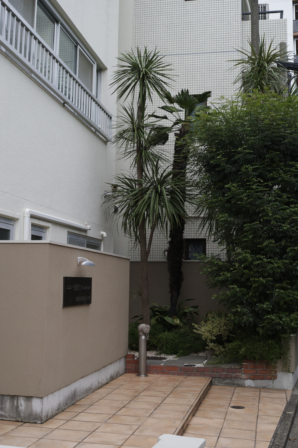 Kichijoji, Merguro, Shinbashi, Roppongi etc_Img