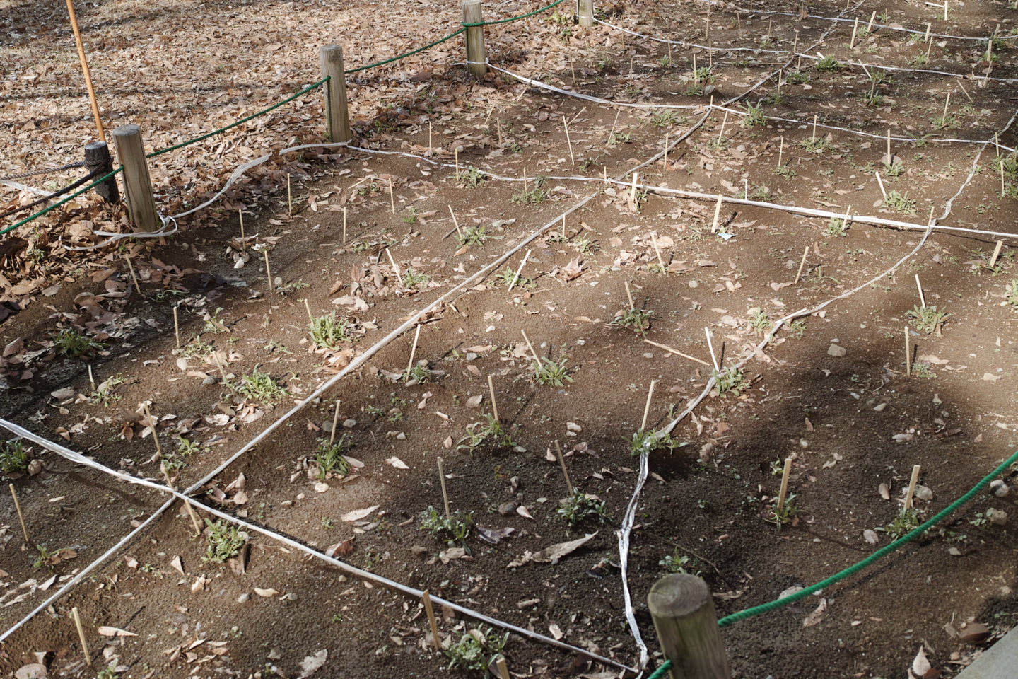 Hatsudai, Shinjuku_Img