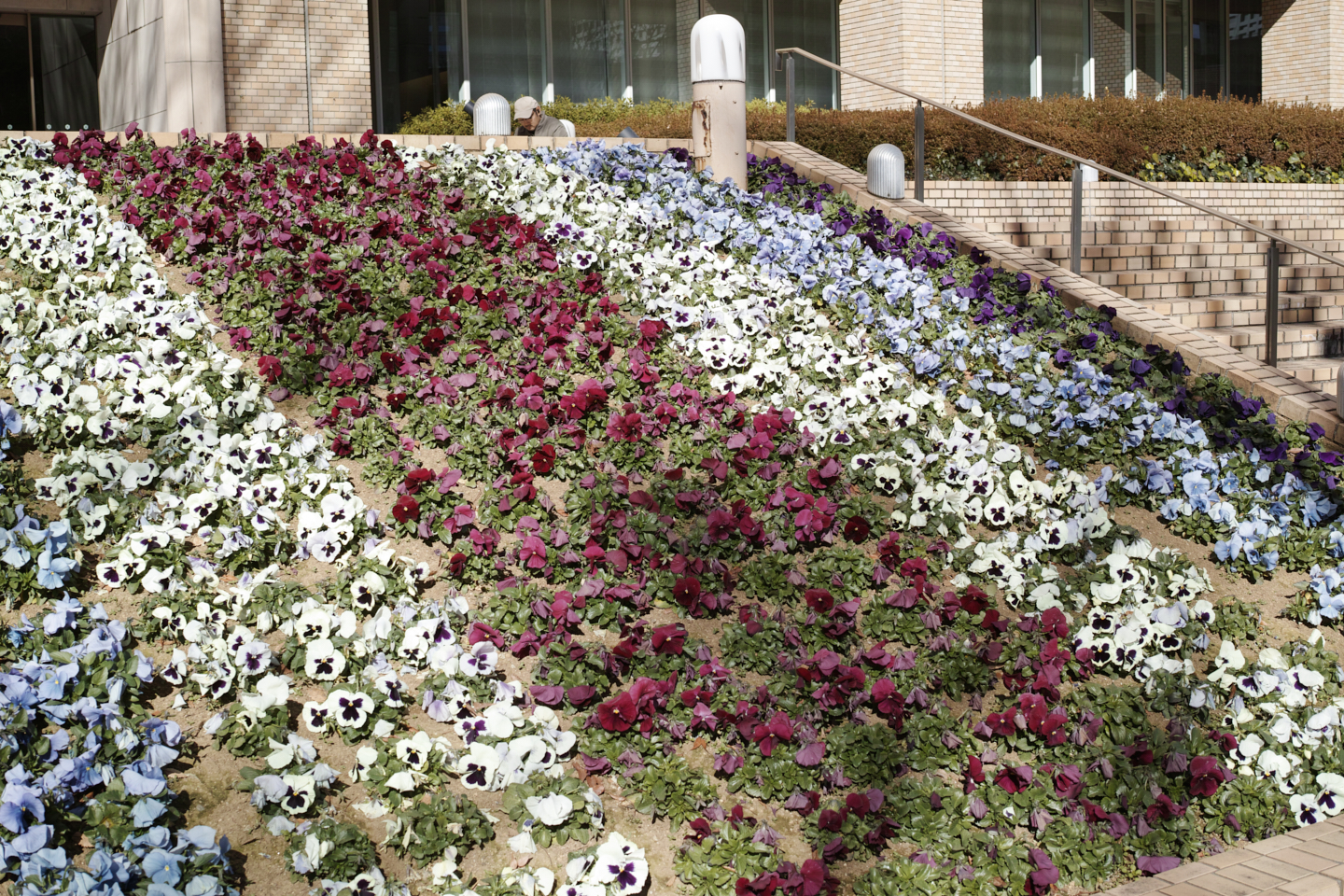 Hatsudai, Shinjuku_Img