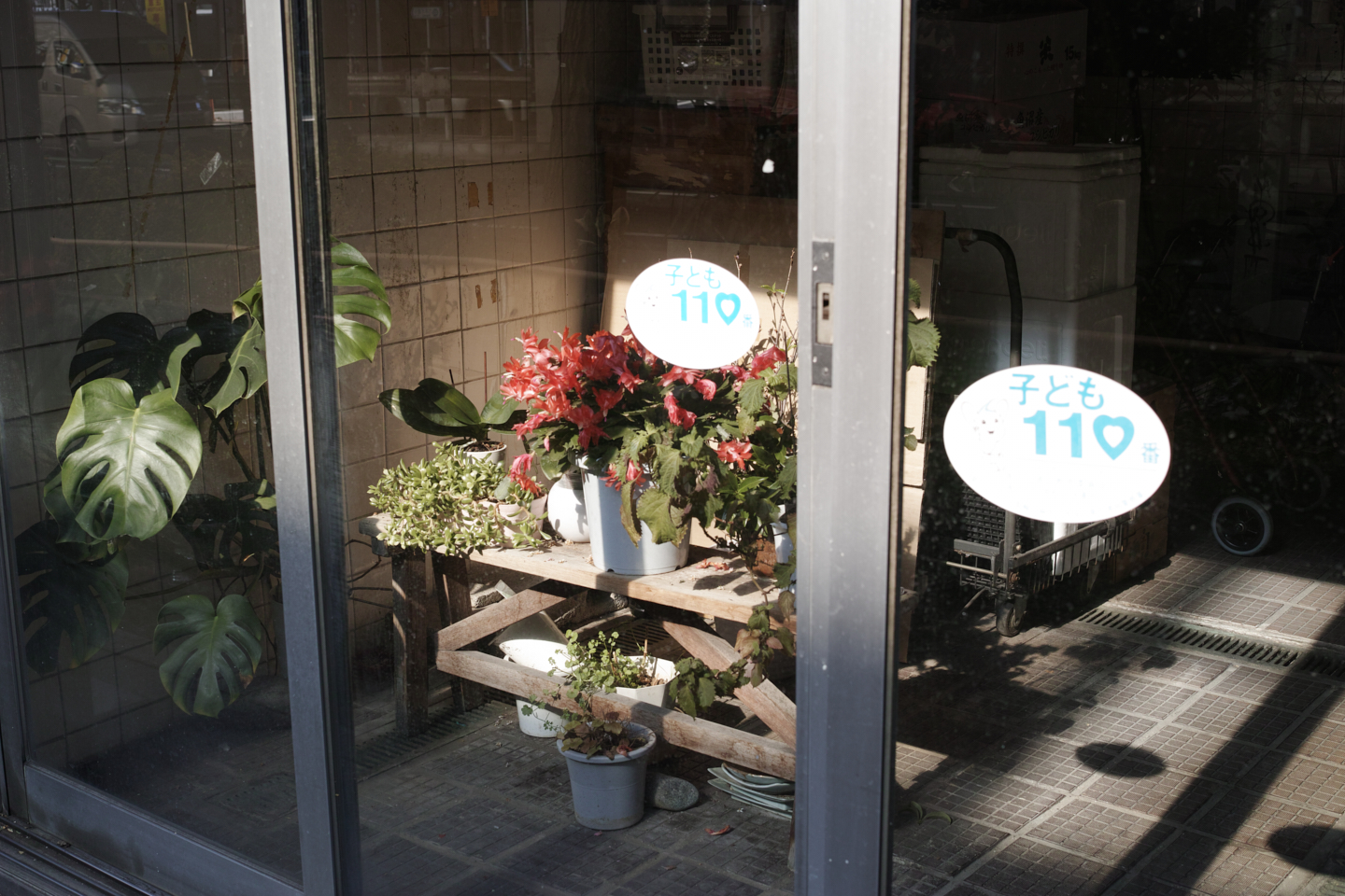 Ebisu, Daikanyama_Img