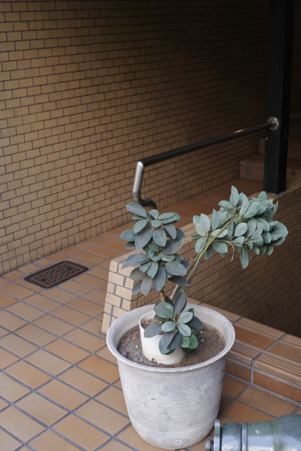 Nishi-Shinjuku, Sendagaya_Img