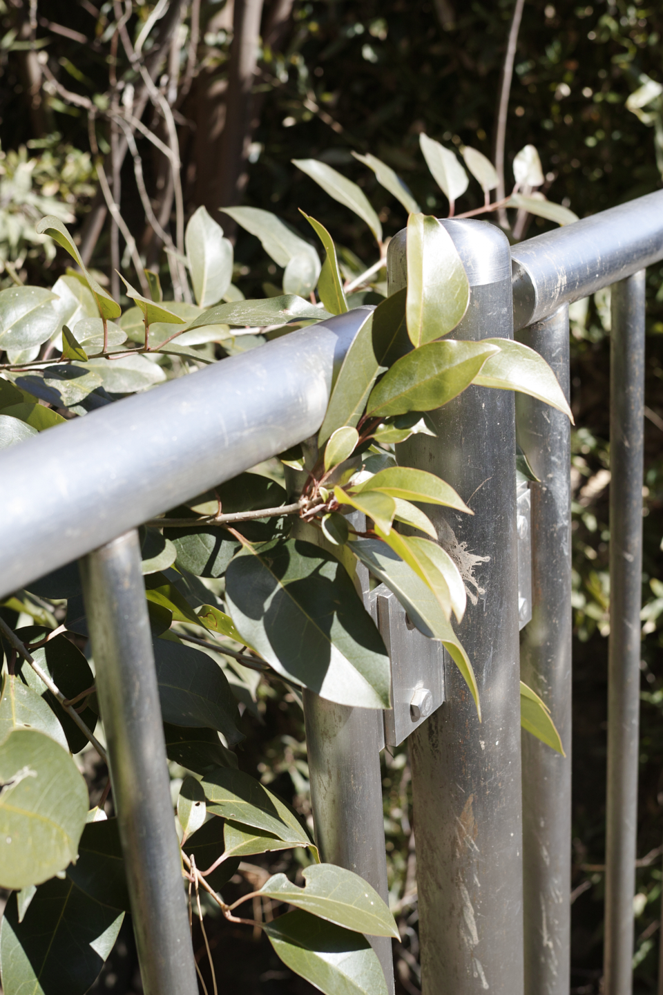 Ebisu, Daikanyama_Img