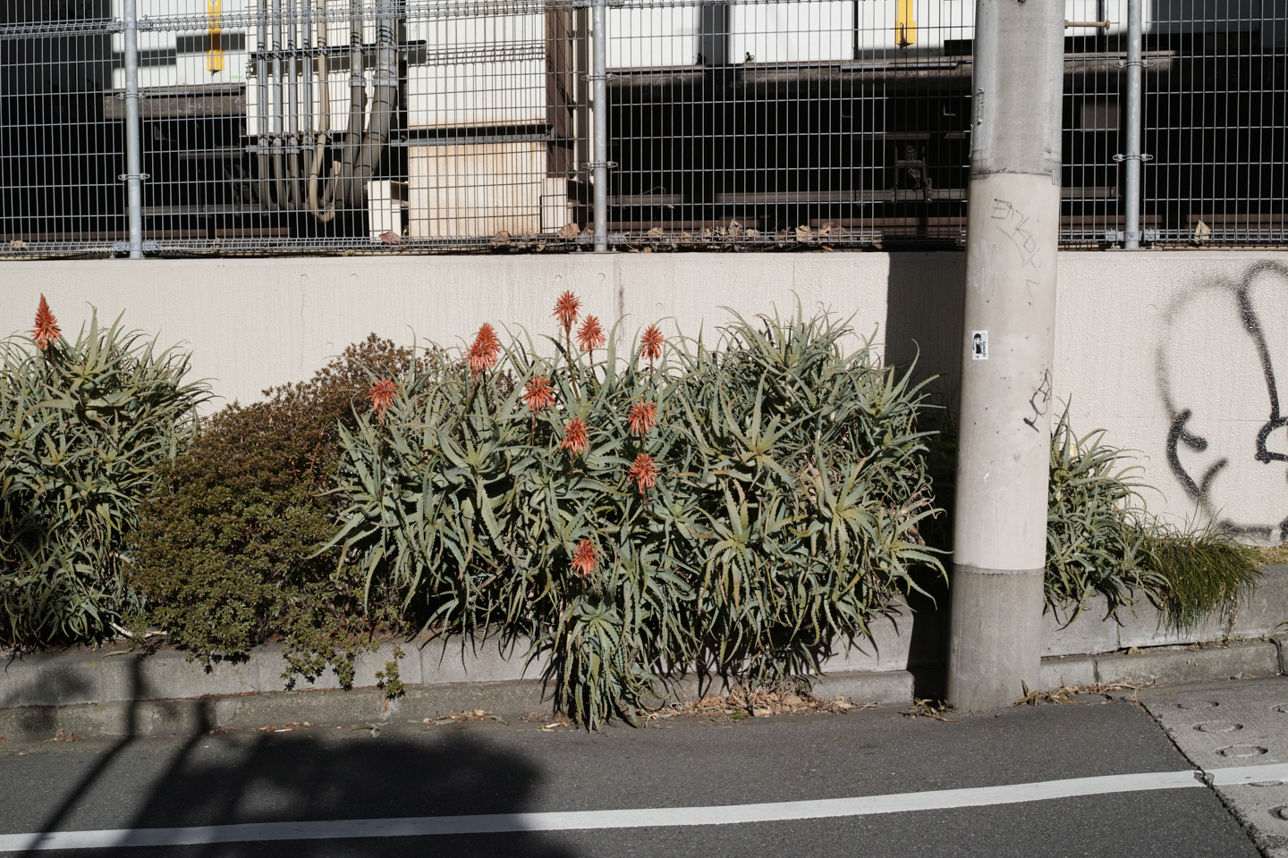 Ebisu, Daikanyama_Img