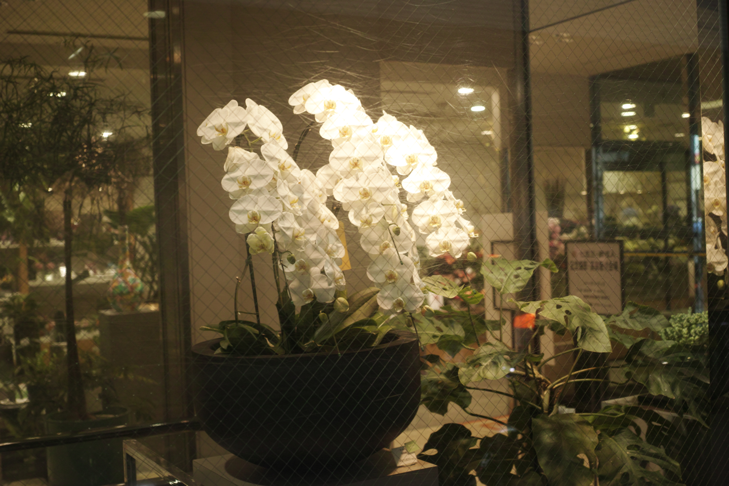 Shinjuku, Shibuya_Img