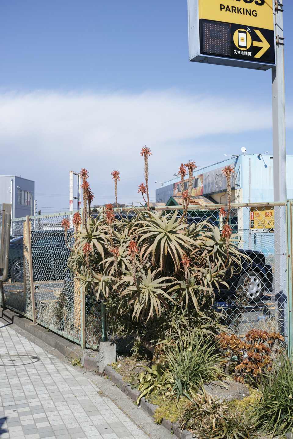 Kurihama, Kanaya_Img