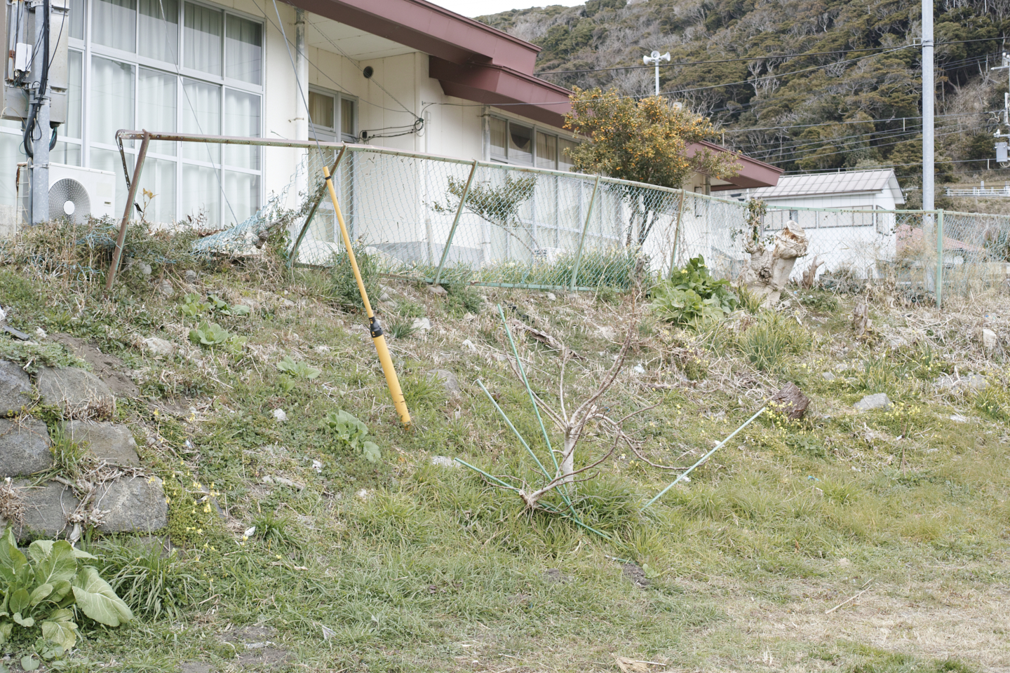 Kurihama, Kanaya_Img