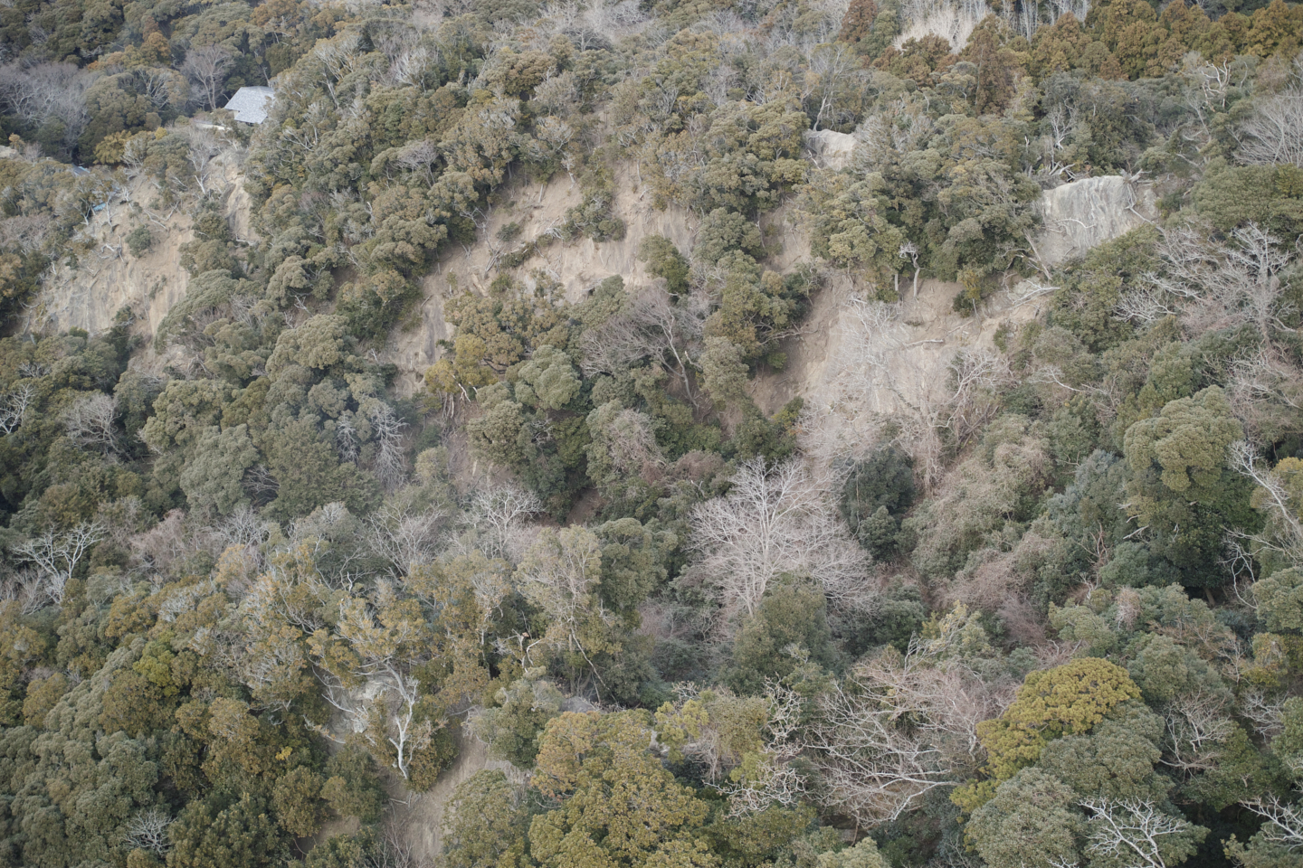 Kurihama, Kanaya_Img