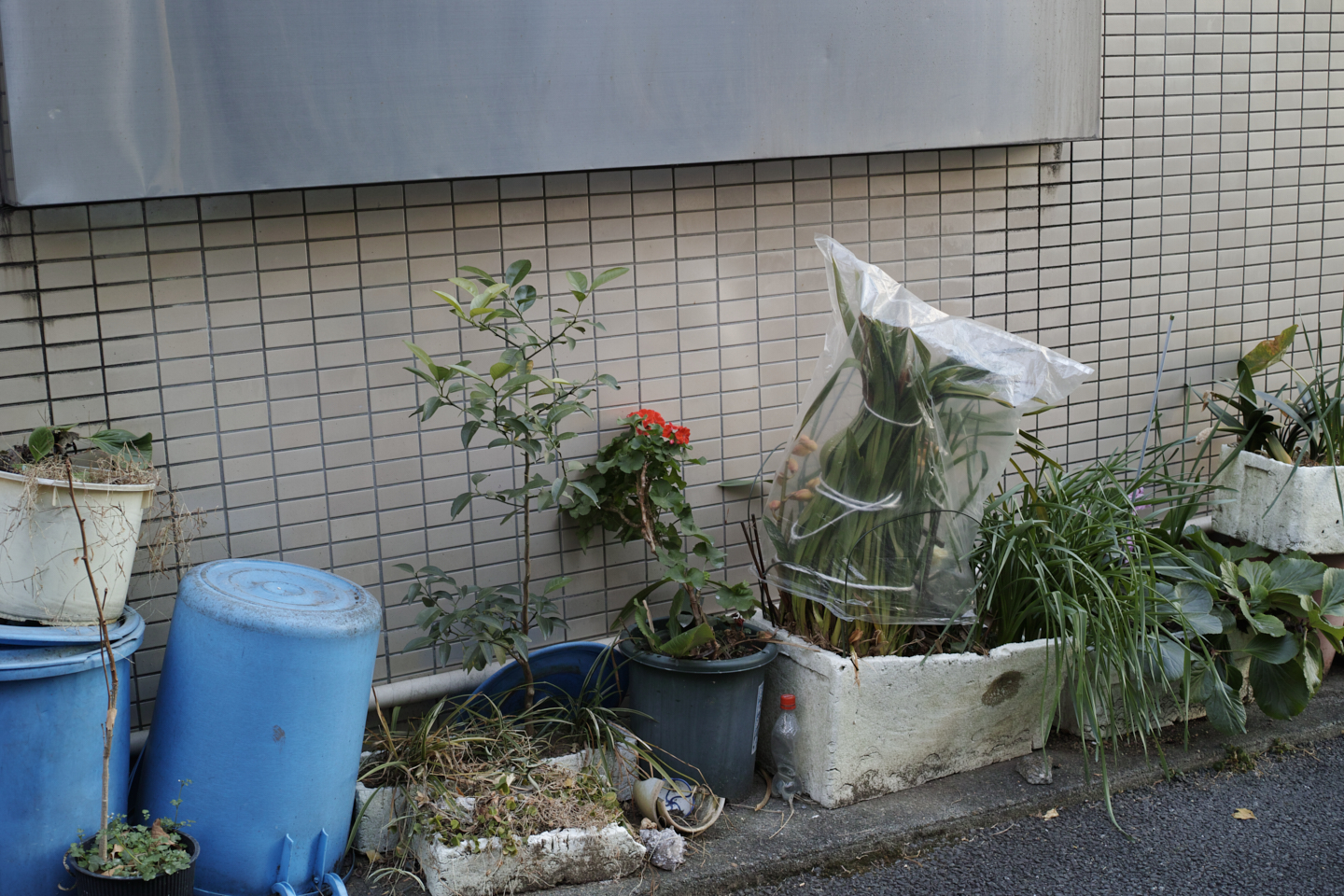 Yoyogi-Uehara, Higashi-Shinjuku, Kagurazaka_Img