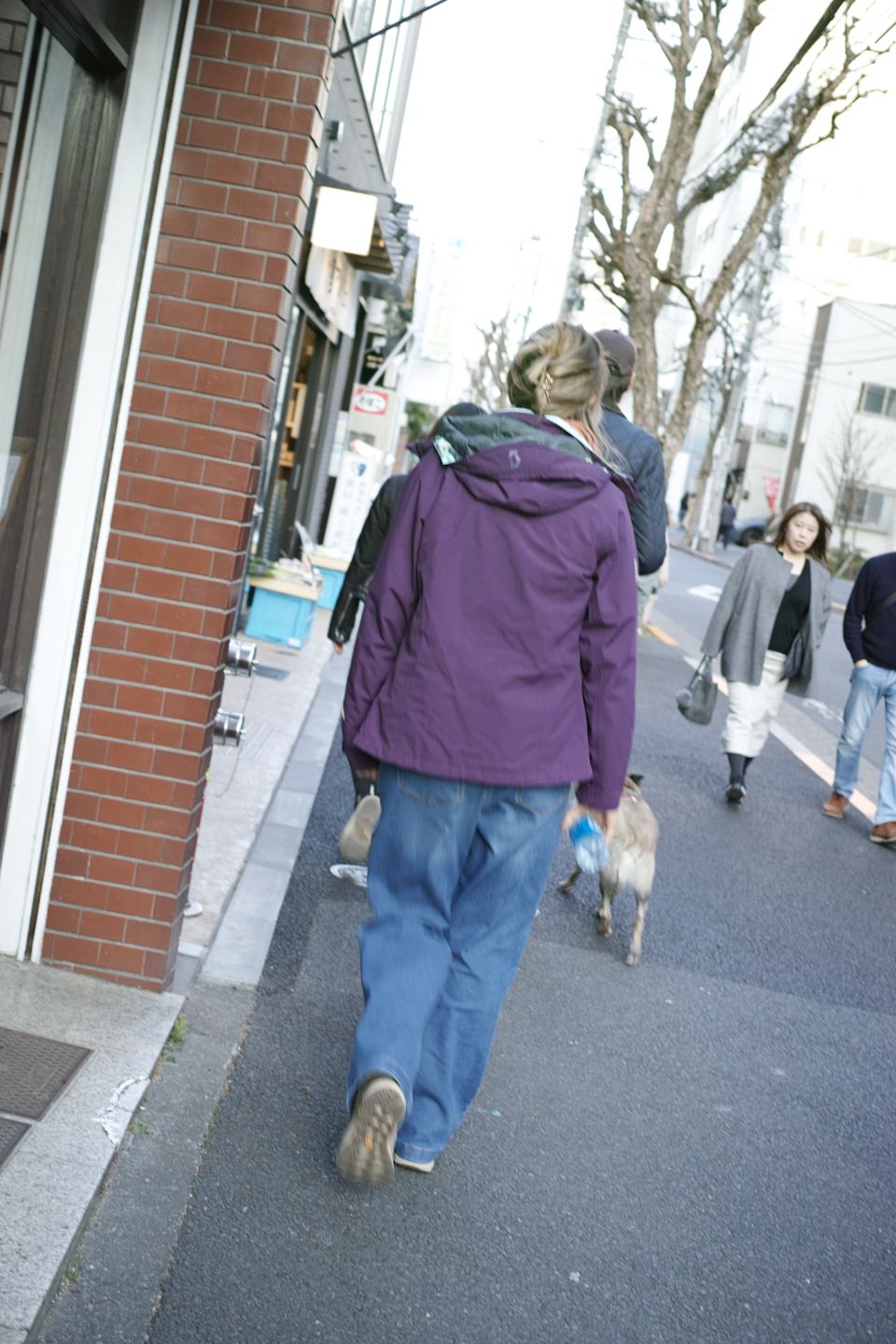 Yoyogi-Uehara, Higashi-Shinjuku, Kagurazaka_Img