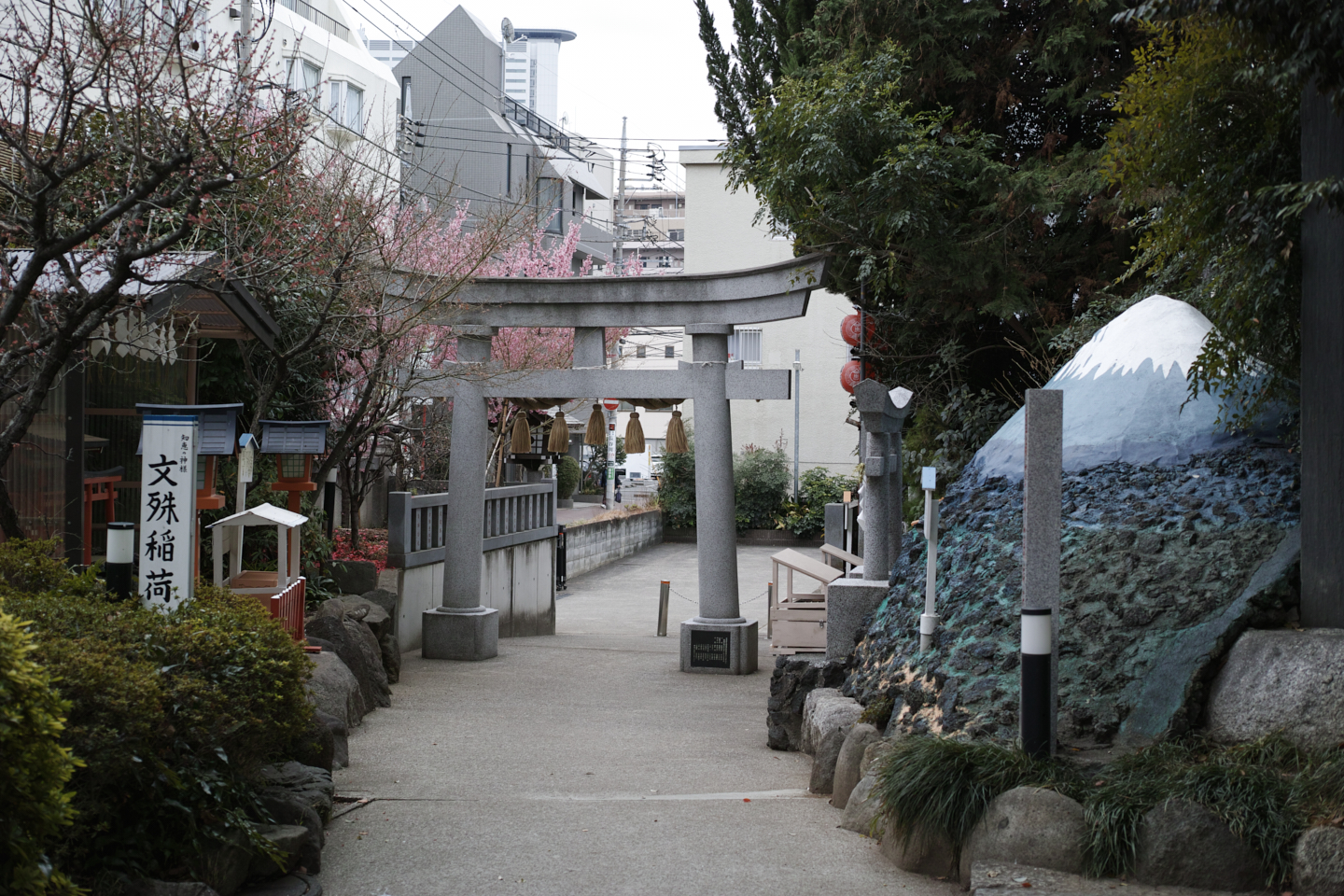 Musashi-Kosugi, DenenChofu, Jiyugaoka_Img