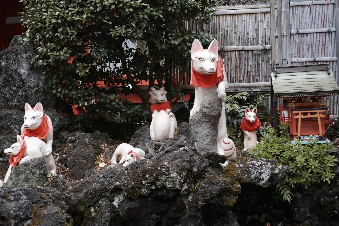 Musashi-Kosugi, DenenChofu, Jiyugaoka_Img