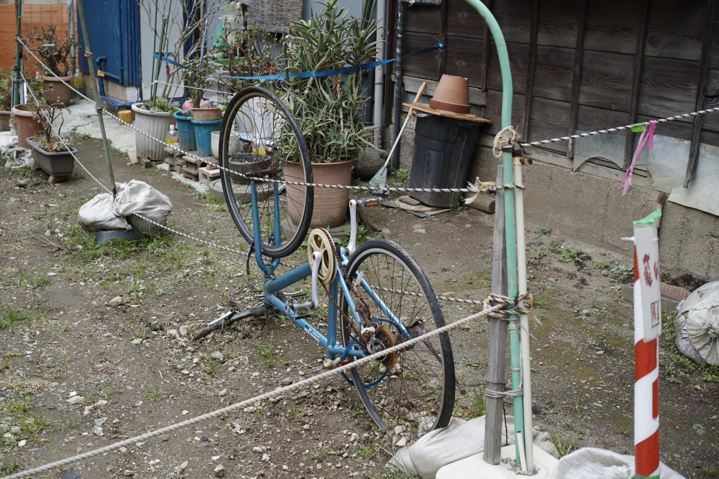 Musashi-Kosugi, DenenChofu, Jiyugaoka_Img