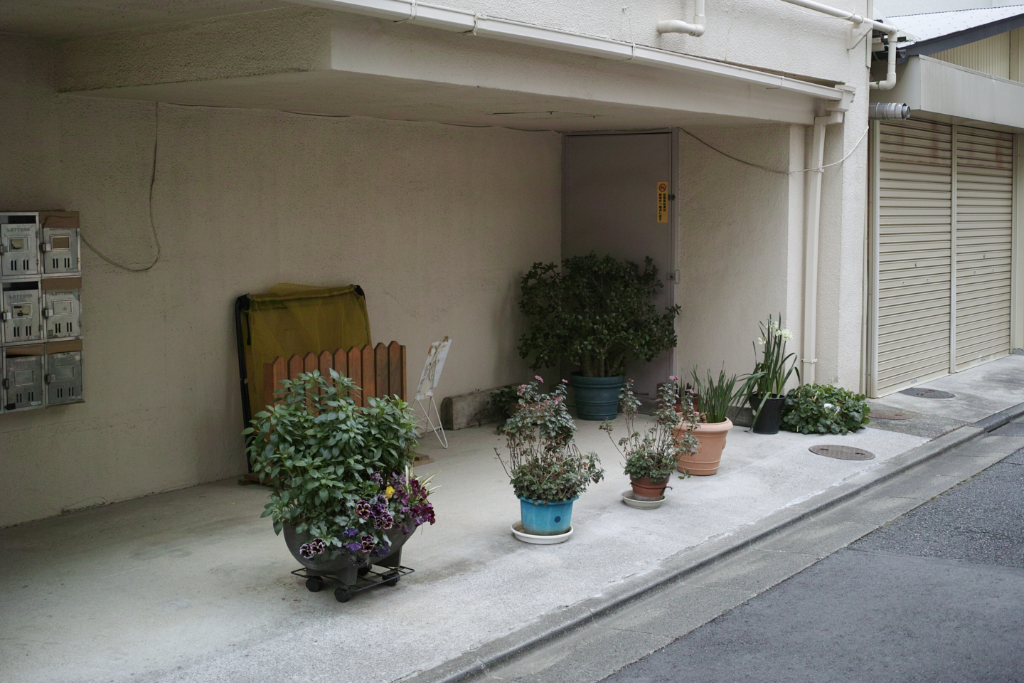 Musashi-Kosugi, DenenChofu, Jiyugaoka_Img