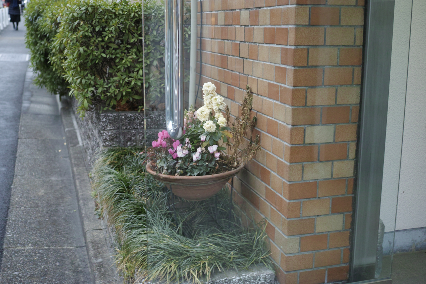 Musashi-Kosugi, DenenChofu, Jiyugaoka_Img