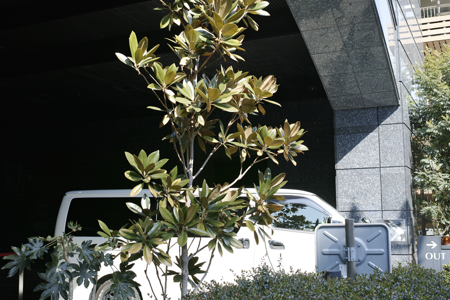 Shakujiimachi, Jimbocho, Ryogoku_Img