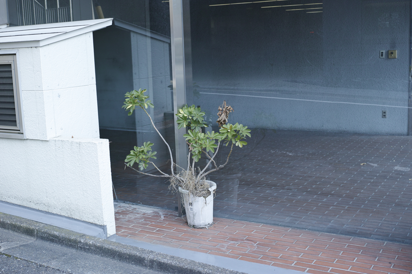 Shakujiimachi, Jimbocho, Ryogoku_Img