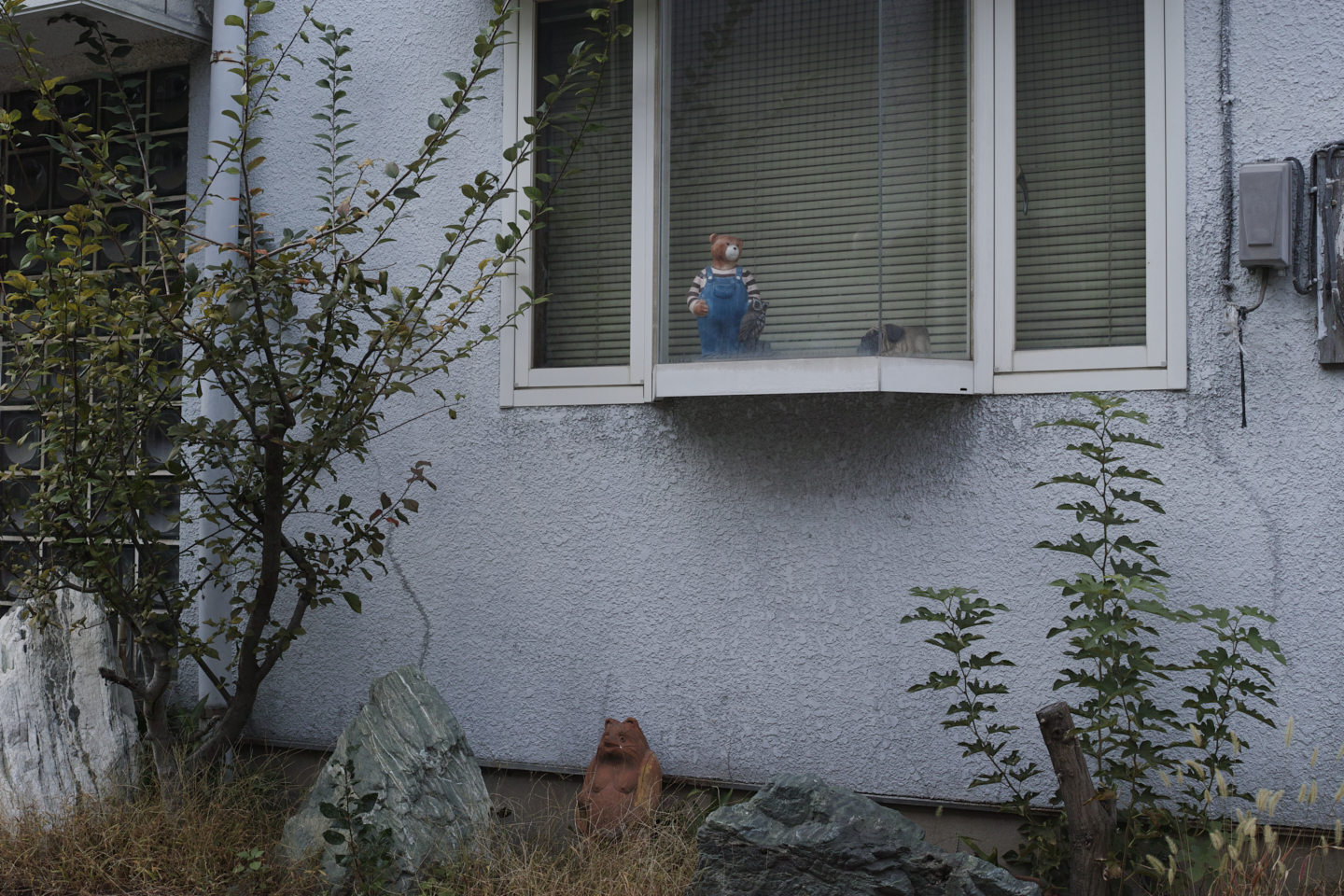 Kameido, Hirai, Ginza_Img