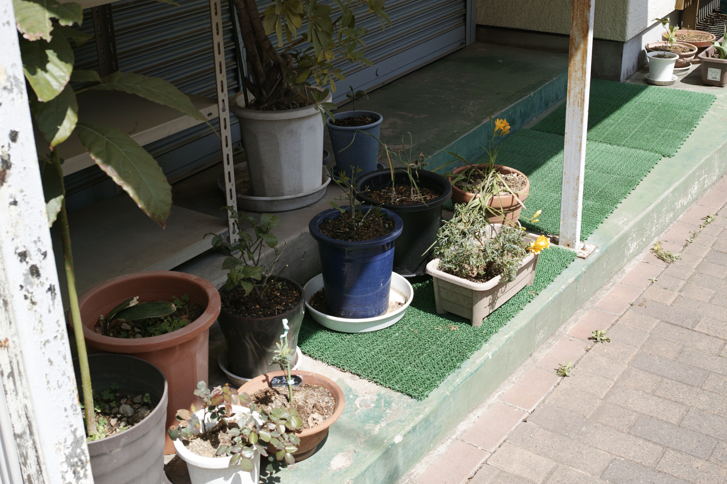 Shinagawa, Ikegami, Togoshi-Ginza_Img