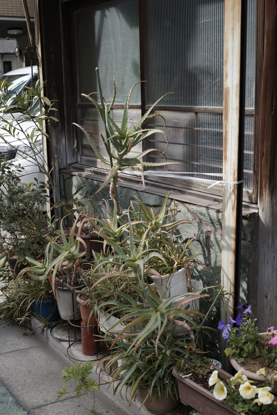 Shinagawa, Ikegami, Togoshi-Ginza_Img