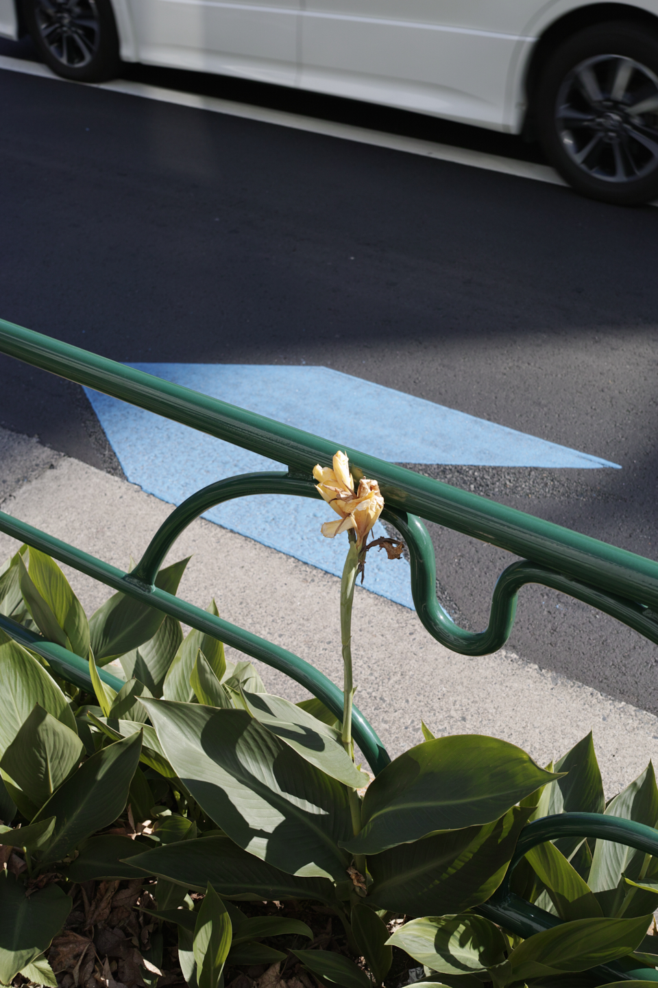 Gakugei-Daigaku, Sangenjaya, Yoyogi_Img