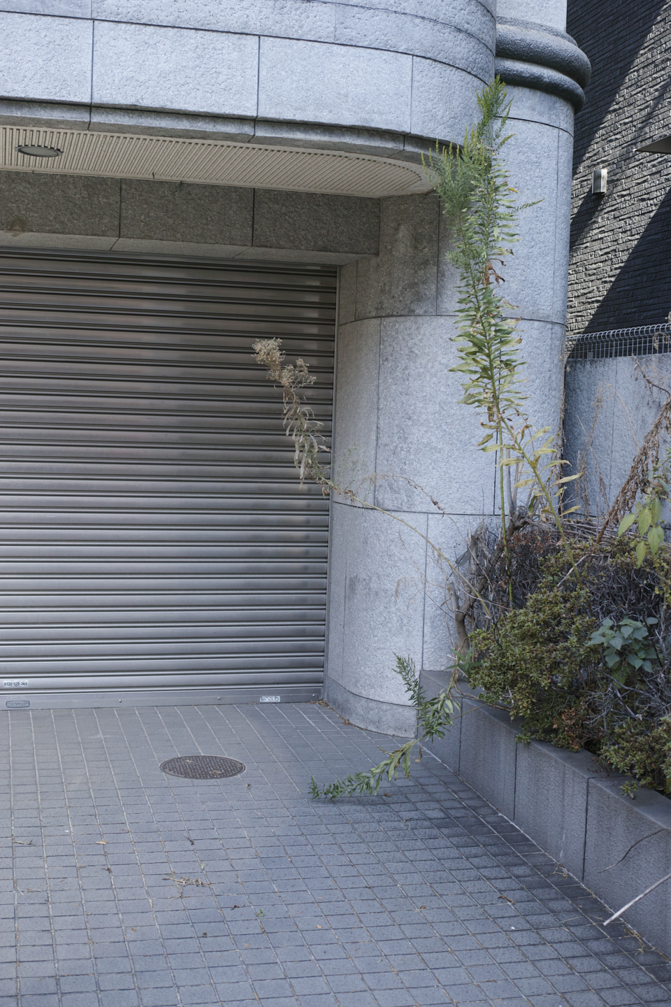 Gakugei-Daigaku, Sangenjaya, Yoyogi_Img