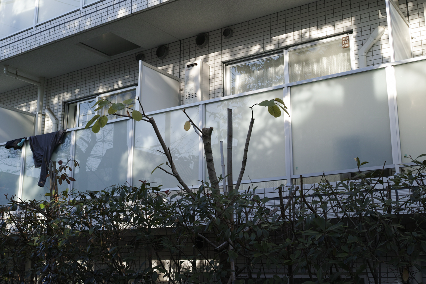 Gakugei-Daigaku, Sangenjaya, Yoyogi_Img