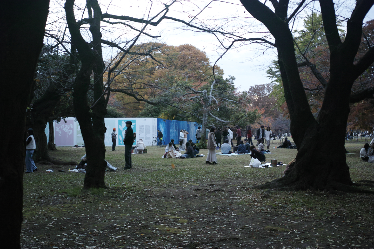 Gakugei-Daigaku, Sangenjaya, Yoyogi_Img