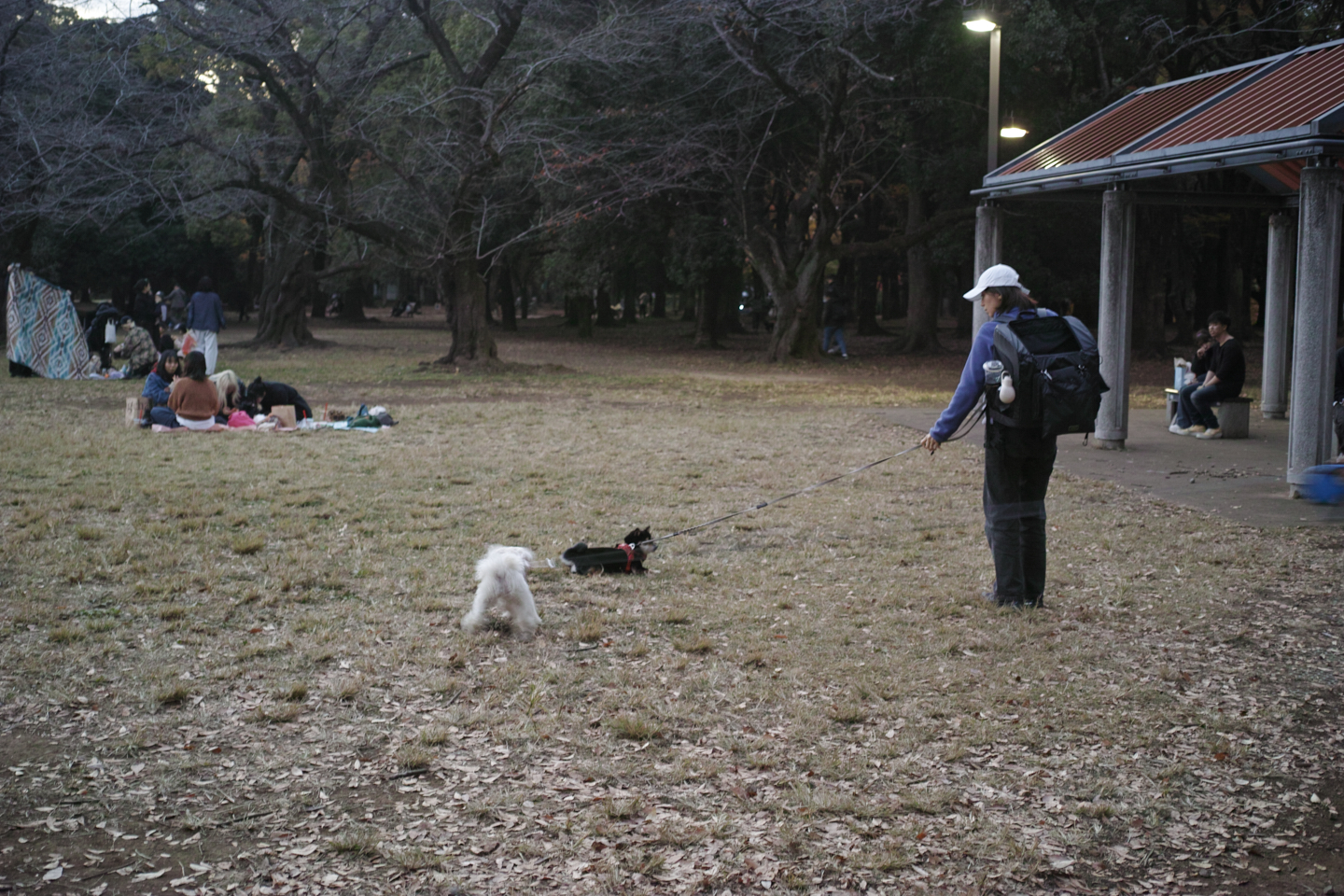Gakugei-Daigaku, Sangenjaya, Yoyogi_Img