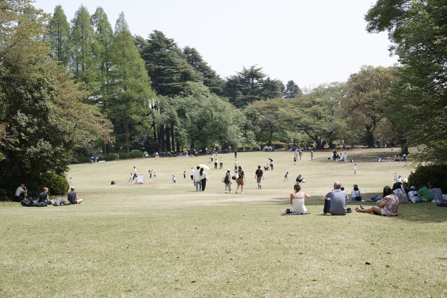 Shinjuku, Ogikubo, Kichijoji_Img