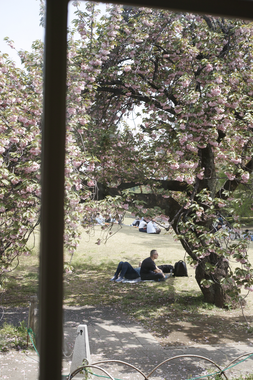 Shinjuku, Ogikubo, Kichijoji_Img